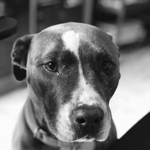 Meet your Posher, Codi